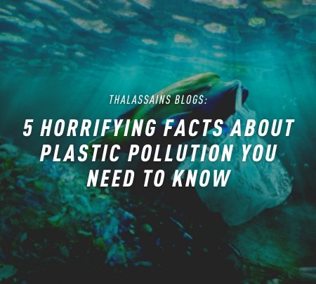 5 Horrifying Fast About Plastic Pollution You Need To Know