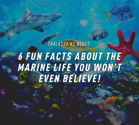 6 Fun Facts About The Marine Life You Won't Even Believe