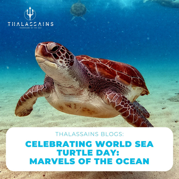 Celebrating World Sea Turtle Day: Marvels of the Ocean
