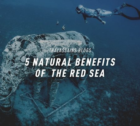Five Natural Benefits of The Red Sea