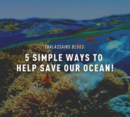 Five Simple Ways To Help Save Our Ocean