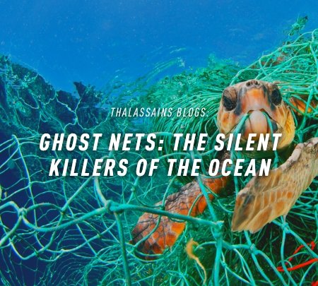Ghost Nets: The Silent Killers Of The Ocean