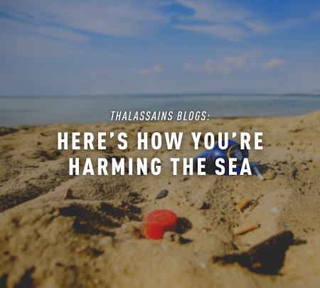 Here's How You're Harming The Sea