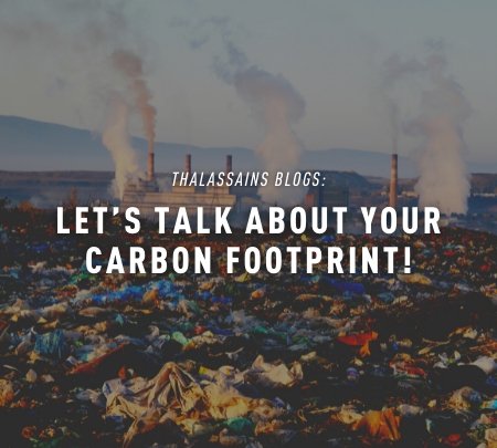 Let's Talk About Your Carbon FootPrint