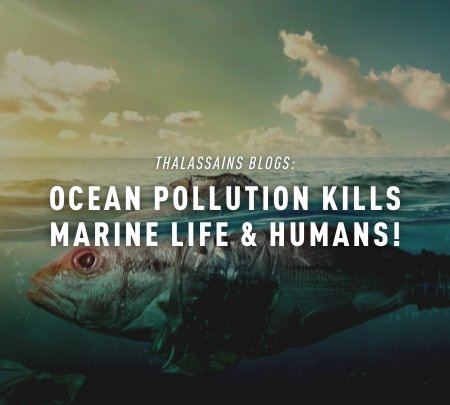 Ocean Pollution Kills Marine Life & Humans