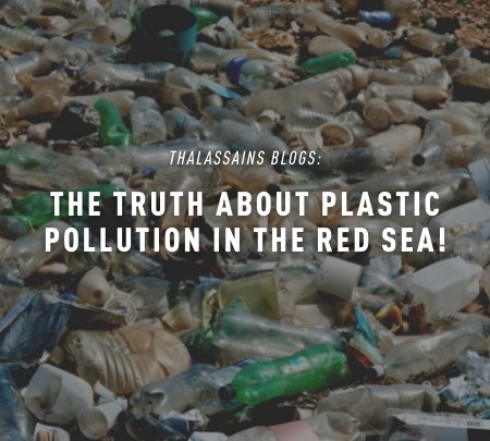The Truth About Plastic Pollution In The Red Sea