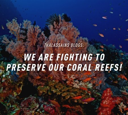 We Are Fighting To Preserve Our Coral Reefs