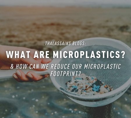 Whats Are Microplastics & How Can We Reduce Our Microplastic Footprint?