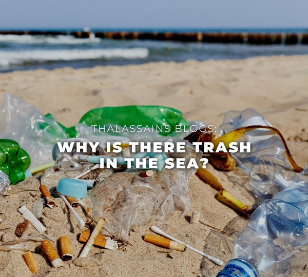 Why Is There Trash In The Sea?